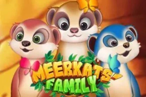 11963 meerkats family