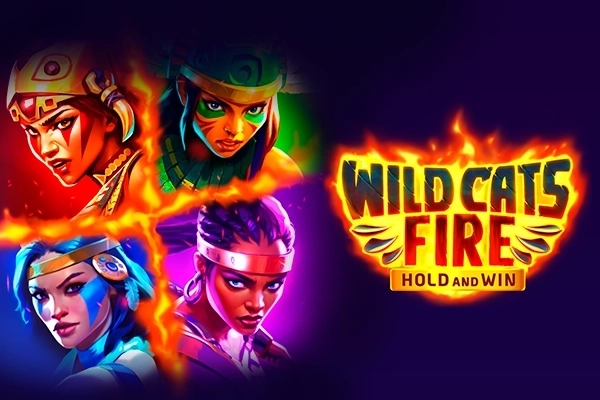 12480 wild cats fire