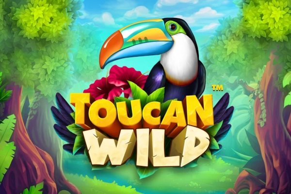 21300 toucan wild