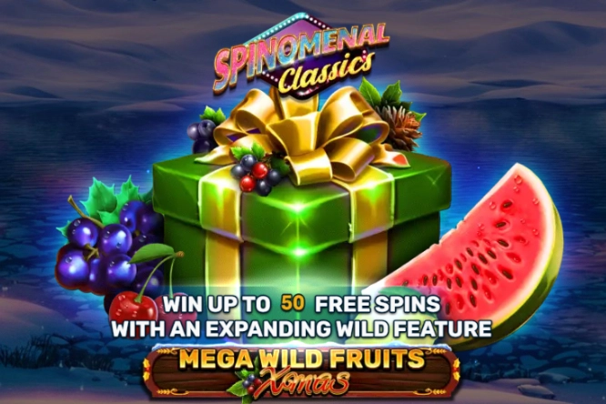22512 mega wild fruits xmas
